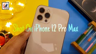 iPhone 12 Pro Max Details Camera Review 2021 | iPhone 12 Pro Max Camera Worth it in 2021