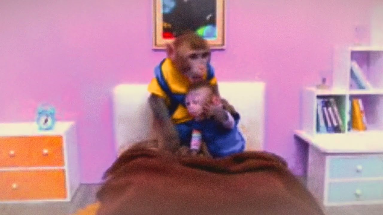 monkey cartoon kids baby 