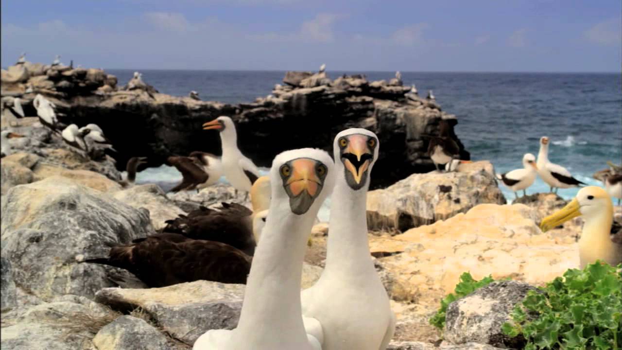 Galapagos Liveaboard Comparison Chart