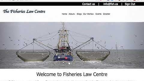 Ruby on rails Create an admin by using gem devise and make him control the website