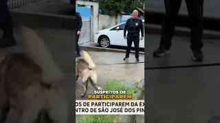 Operação da Polícia Civil prende suspeitos de crime #SãoJosédosPinhais #segurança