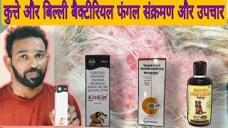 dog and cat skin  infection and  treatment कुत्ते और बिल्ली |  संक्रमण और उपचार ‎@thepetguy  by THE PET GUY 130 views 1 year ago 9 minutes, 5 seconds
