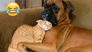 Try Not To Laugh Dogs And Cats 😁 - Best Funniest Animals Video 2024 - Part 46 by Epic Failz 27,303 views 1 month ago 21 minutes