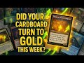 Five Magic the Gathering Cards Rising in Price This Week! Check Your Collection! 6.27.2025