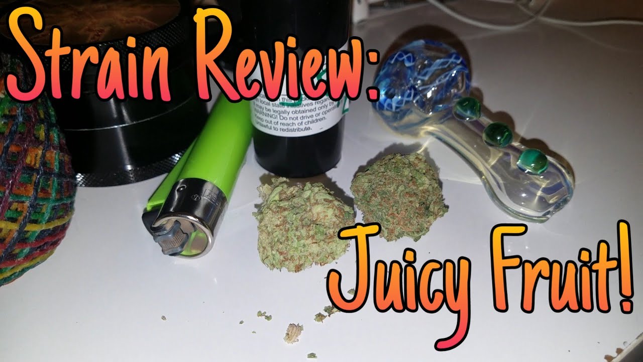 Strain Review Juicy Fruit! YouTube