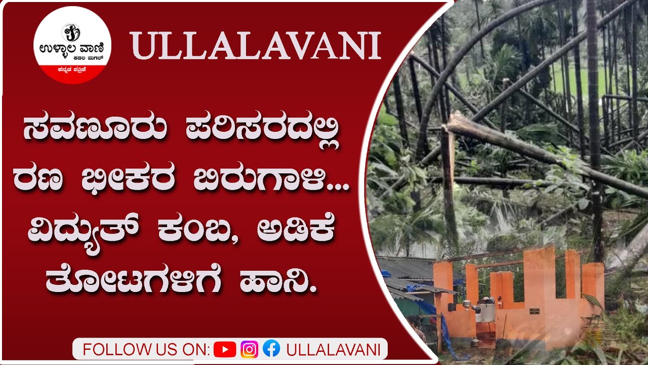 ಸವಣೂರು ಪರಿಸರದಲ್ಲಿ ರಣ ಭೀಕರ ಬಿರುಗಾಳಿ... ವಿದ್ಯುತ್ ಕಂಬ, ಅಡಿಕೆ ತೋಟಗಳಿಗೆ ಹಾನಿ.