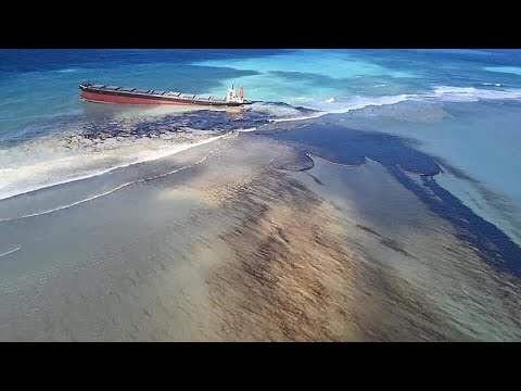 Βίντεο: Τα κύρια περιβαλλοντικά προβλήματα της Μαύρης Θάλασσας