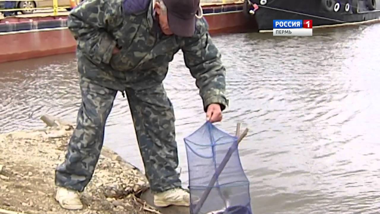 Запрет на ловлю рыбы в гомельской области