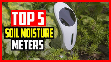 Top 5 Best Soil Moisture Meters of 2025