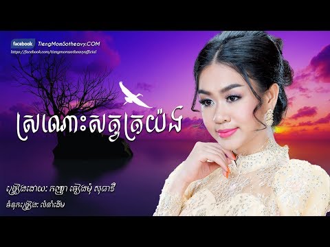 ស្រណោះសត្វត្រយ៉ង - ទៀងមុំ សុធាវី - tiengmom sotheavy - tieng mom sotheavy