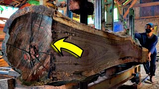 This Log Looked Solid… Until They Started Cutting