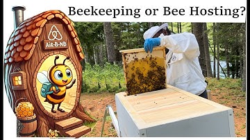 Beekeeping or Bee Hosting? Horizontal Hives, Forest AirBnb and Wildlife Sanctuary
