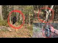 Trail Cams Nailed It! Hidden CCTV Security Cameras Captured It All! Warning! Graphic Images!