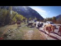 Дорога из г. Тырныауз к поляне Азау (Кабардино-Балкария)