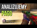 Jak naprawdę gra PAGO w CS:GO? | EMERITOS BANDITOS