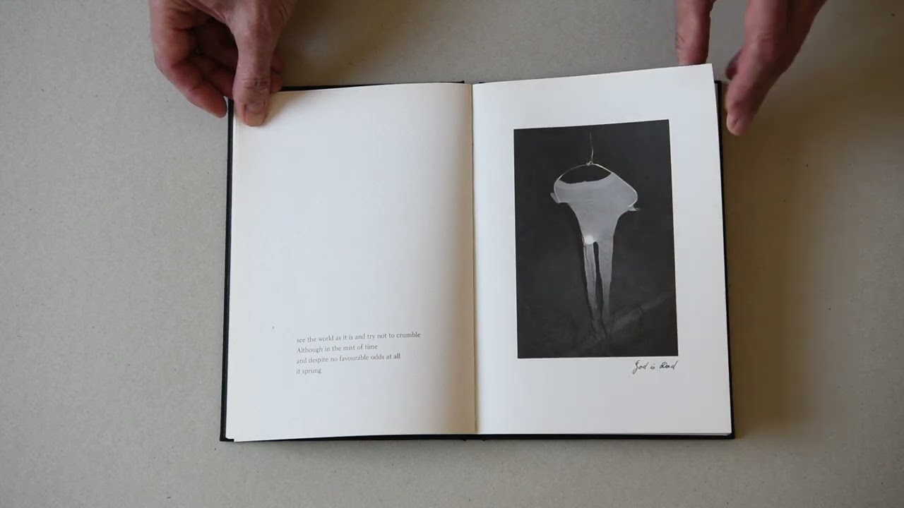 Le 26 du mois n°95 / Sarah Lucas