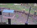 2026-05-16 - Flocking Around - Casper, WY - Live Stream Bird Feeder Cam