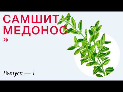Самшит Медонос Подкаст Выпуск 1
