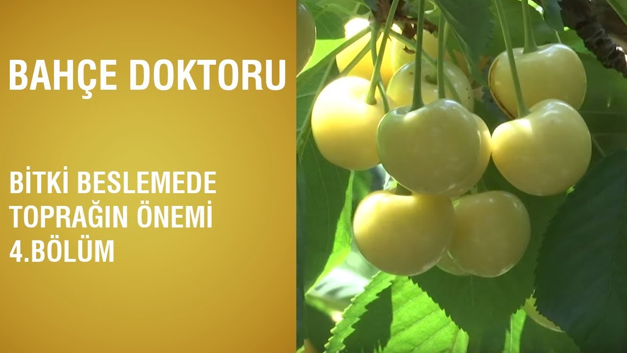 Bahçe Doktoru - Bitki Beslemede Toprağın Önemi / 4.Bölüm