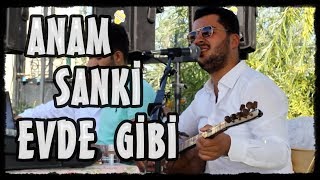 Aycan Öner - Anam Sanki Evde Gibi (Murat Cancı Sünnet BOR) [Poyraz Kameraᴴᴰ]-[Gökhan Varol]