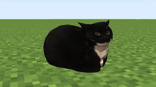 maxwell the cat in minecraft