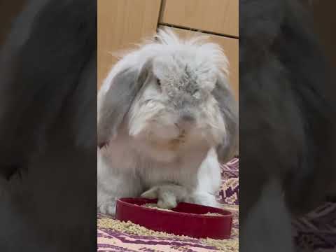 خوشگلم و هزار خاطر خواه دارم