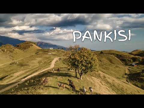 Панкиси.Кистинцы.Чеченцы.Хадори