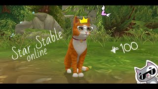 Star Stable online #100 - Кошки! (Мини-квест)