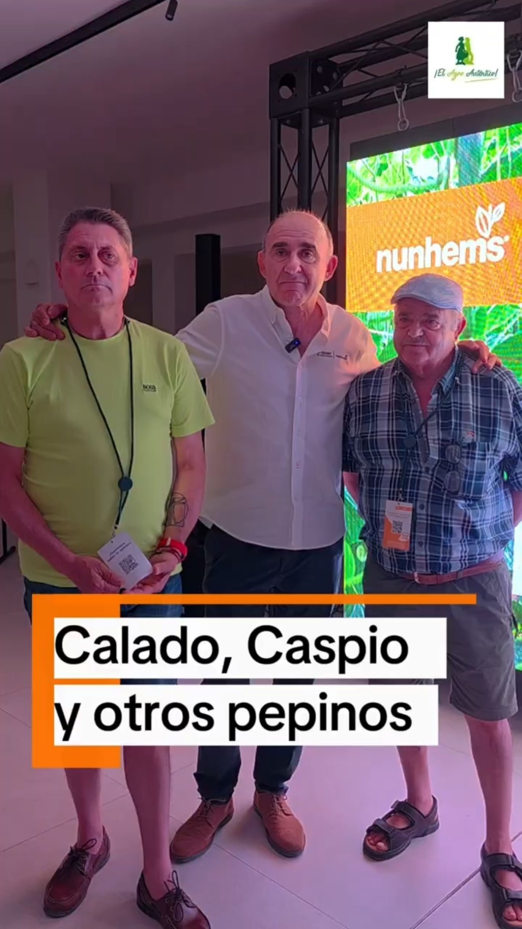 Calado, Caspio y otros pepinos