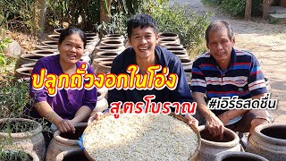 วิธีปลูกถั่วงอกในโอ่ง สูตรโบราณออร์แกนิก 4วันขาย รายได้ 6หมื่นต่อเดือน - ซีรีส์โคราช6 | เอิร์ธสดชื่น