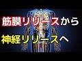 【末梢神経リリースをデモで】