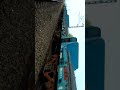 Train accident