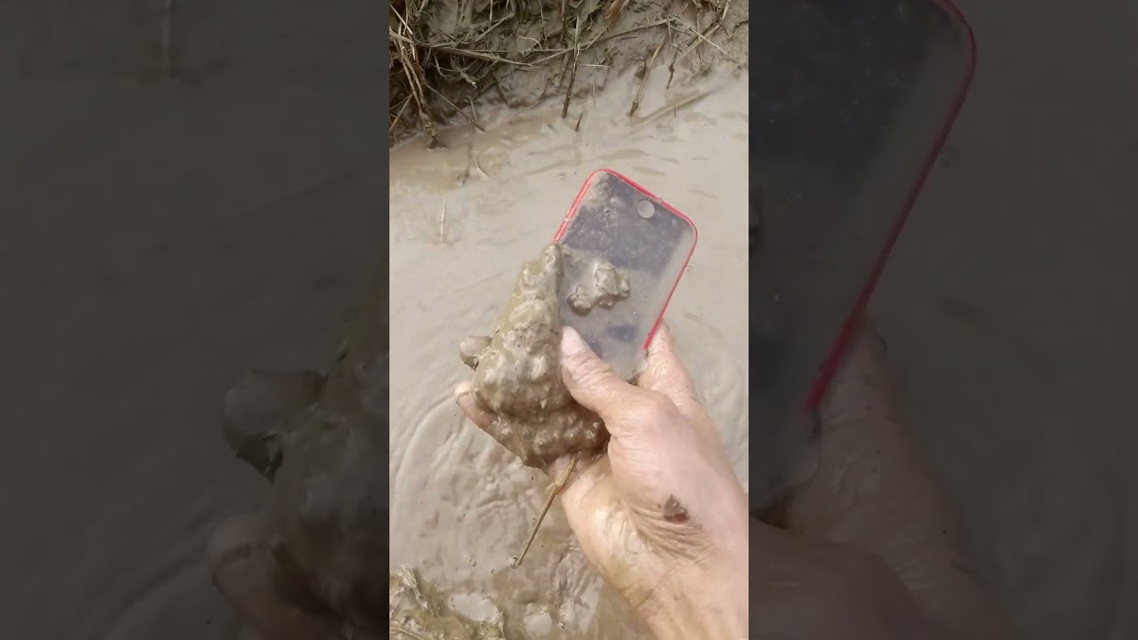 iPhone se 2020 water test pass 😜😇😭😭😭💯