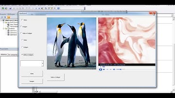 Cargar Videos e Imágenes con varios controles con Macros de Excel