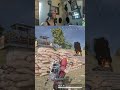 dont roll up on us!!!!!! | #getsharkedentertainment on #Twitch