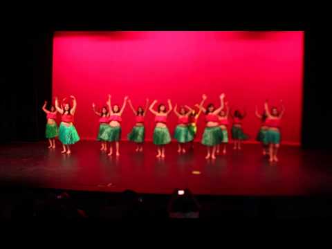 Hawaiian Roller Coaster Ride