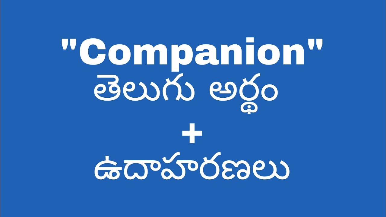 travel companion meaning in telugu