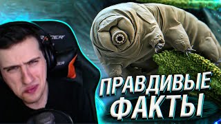 Hellyeahplay смотрит: Правдивые факты о тихоходках