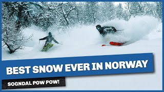 Sogndal POW POW: Best snow ever in Norway