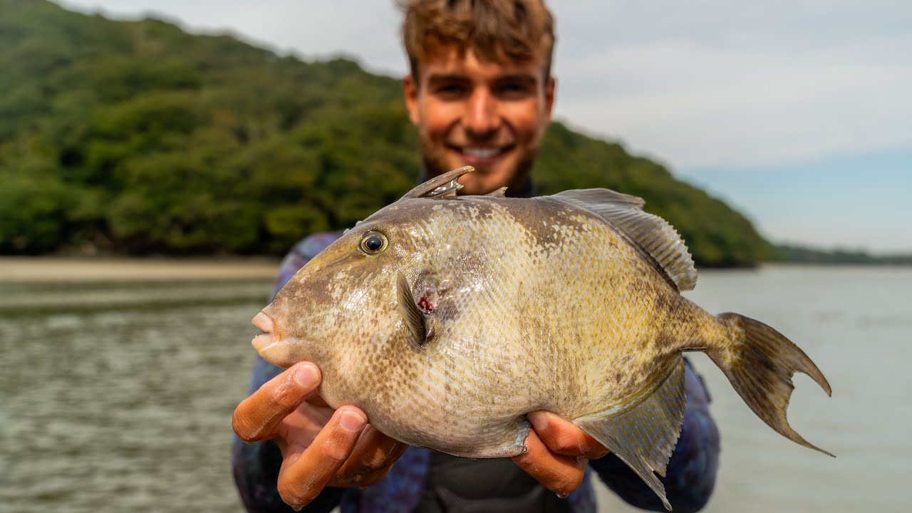 Spearfishing a Tropical fish in Cornwall