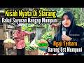 Spesial Bakul Sayur Nangap Mumpuni || Pantura Vs Cilacap - Walimatul Khitanan Di Slarang Kesugihan
