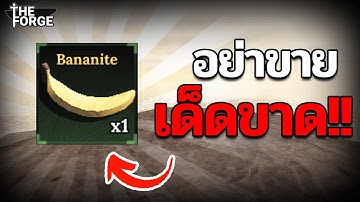20 เทคนิคลับ ต้องทำ!! มือใหม่ต้องดู | Roblox The Forge