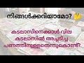 കടലാസിനെക്കാൾ വില കടലാസിൽ അച്ചടിച്ച പണത്തിനുള്ളതെന്തുകൊണ്ട്?