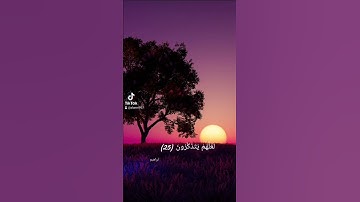يثبت الله الذين آمنوا تلاوة شجية للقارئ ريان المحيسني #quran
