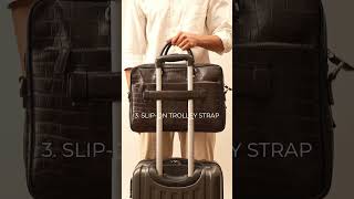 Ollie Briefcase - Tis the season!