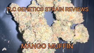 Mango Muffin Cannabis Flower Strain Review: The TLC Genetic Show 