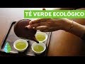 PARA QUE SIRVE EL TÉ VERDE - PROPIEDADES del TÉ VERDE