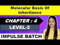 Molecular Basis of Inheritance | Level 2 MCQ | Anjali Ma'am | Maharashtra Board