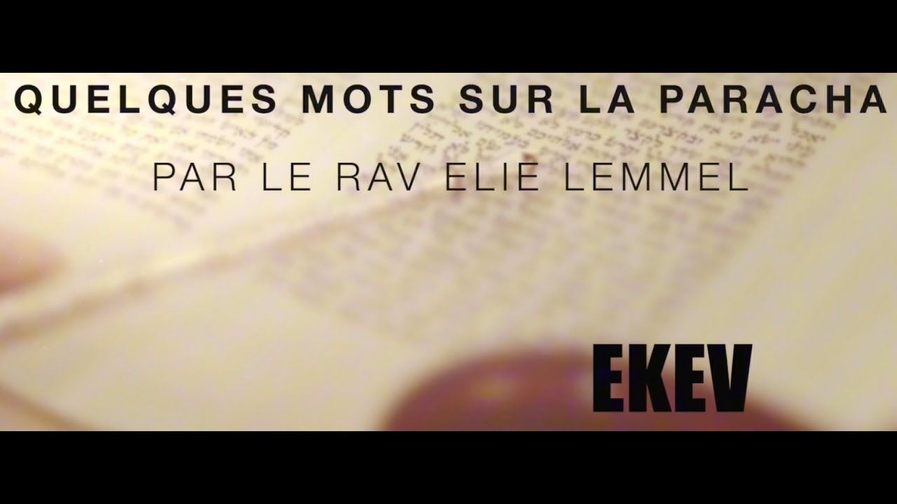 Je ne demande pas grand-chose si ce n'est... Rav Elie Lemmel - Paracha Ekev