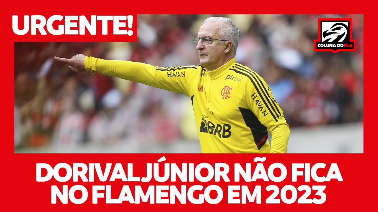 O jogador do Flamengo de 18 anos que impressionou Dorival e é opção para  2023